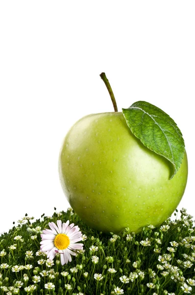 Friss alma izolált fehér alapon — Stock Fotó