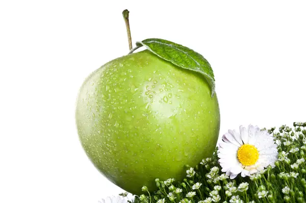 Fresh apple isolated on a white background — Stock Photo, Image
