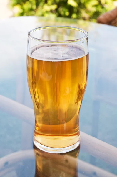 Bardak taze bira — Stok fotoğraf