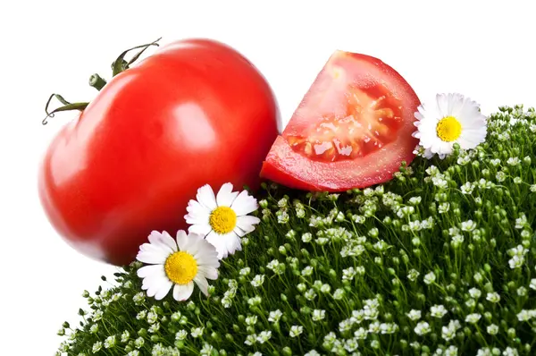 Färsk tomat isolerad på en vit bakgrund — Stockfoto