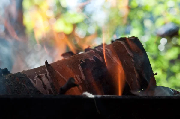 Madeira queima no fogo — Fotografia de Stock
