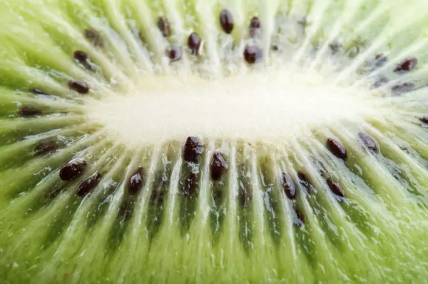 stock image Kiwi background