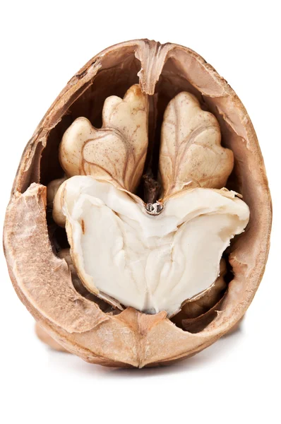 Macro photo of walnut — Stock Photo, Image