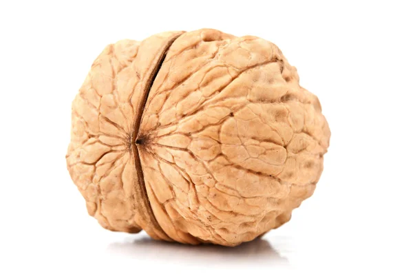 One walnut — Stock Photo, Image