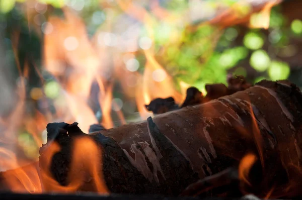 Holz Brennen im Feuer — Stockfoto