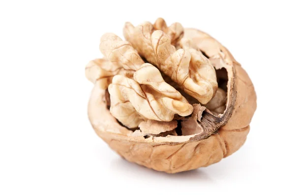 One walnut — Stock Photo, Image