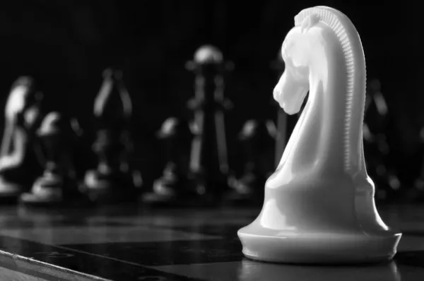 Peça de xadrez cavaleiro branco — Fotografia de Stock
