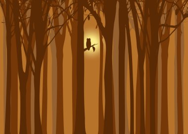 Halloween illustration autumn forest with owl clipart