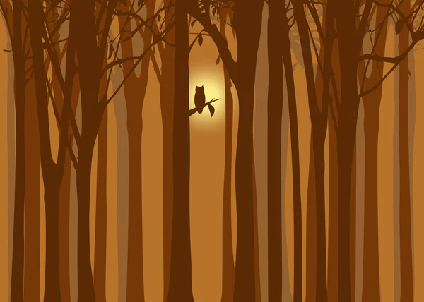 Halloween ilustración bosque de otoño con búho — Vector de stock