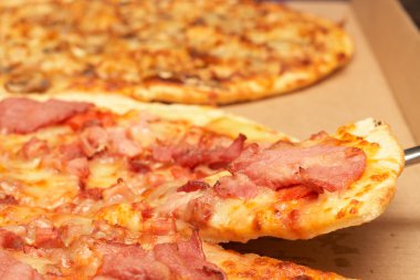 Tasty italian pizza with bacon and cheese clipart