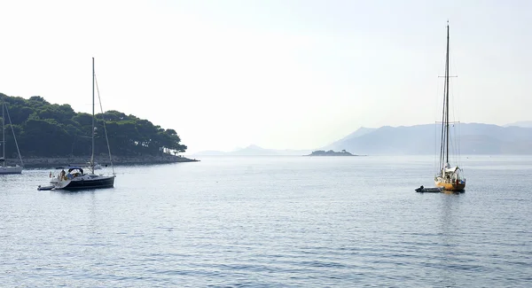 Blick auf das adriatische Meer an der Küste Cavtats, Kroatien. — Stockfoto