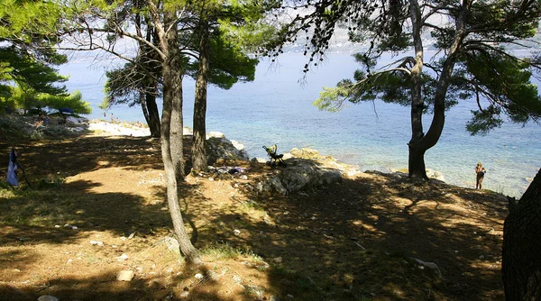 Passeggino sulla costa di Cavtat, Croazia . — Foto Stock