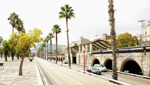 Park en over de weg in barcelona — Stockfoto