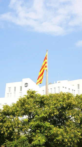 Katalanska flaggan — Stockfoto