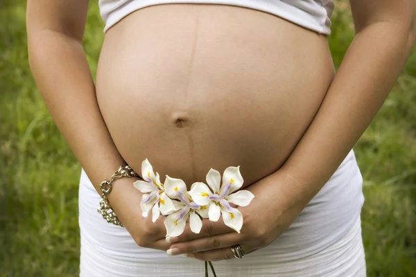 Pregnant woman holding white flowers in her hands — Stock Photo, Image