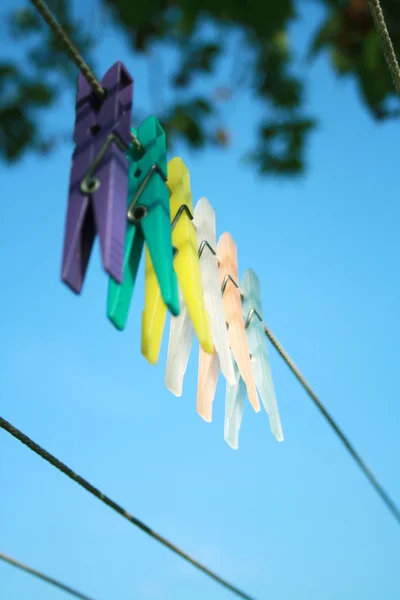 Stock image Clothes pins