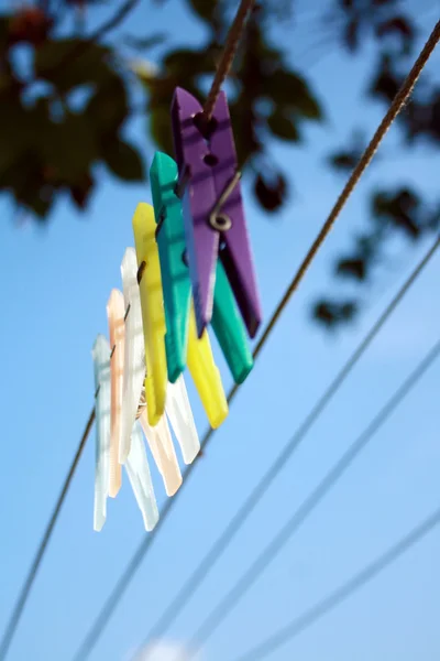 stock image Clothes pins