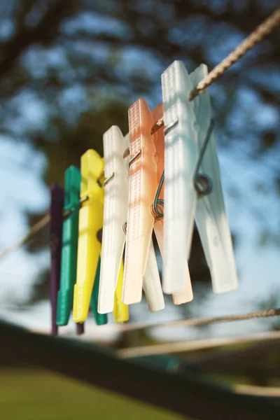 stock image Clothes pins