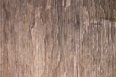 Old brown rotten wood texture. clipart