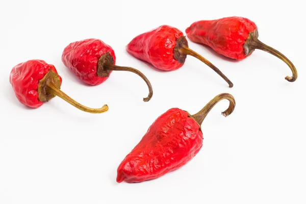 Punainen kuuma chili paprikat — kuvapankkivalokuva