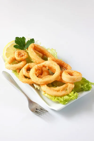 stock image Calamari