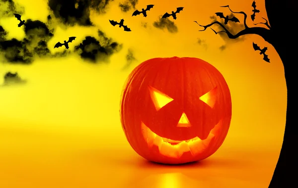 Tatil arka plan halloween balkabağı — Stok fotoğraf