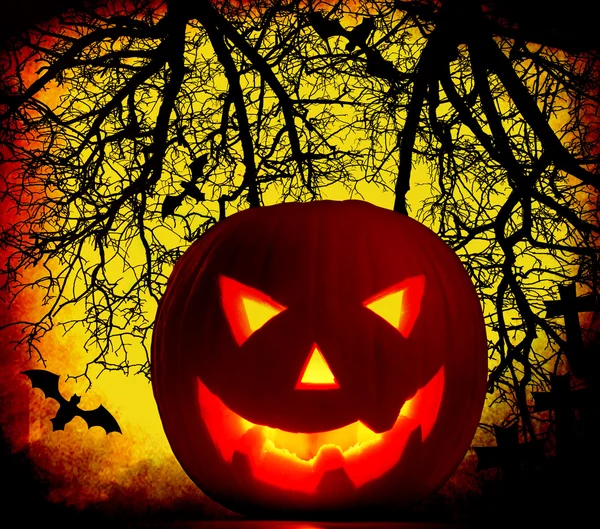 Хэллоуинский тыквенный фон — стоковое фото