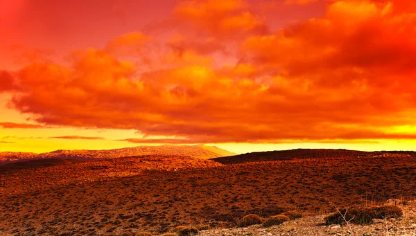 在沙漠的戏剧性红色夕阳 — 图库照片
