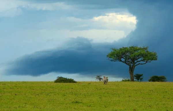Краса ландшафту Африки — стокове фото