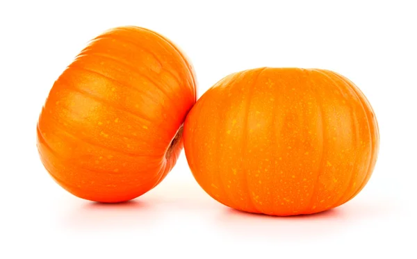 Two pumpkin — Stock Photo, Image