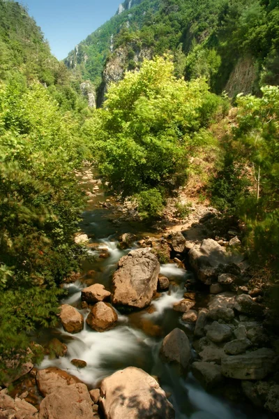 Berg rivier — Stockfoto