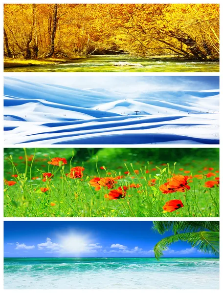 Collage zu vier Jahreszeiten — Stockfoto