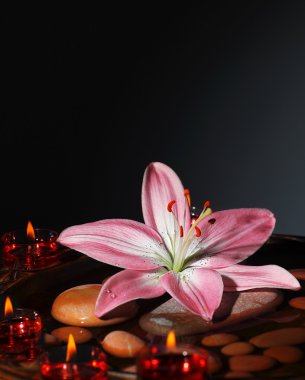 Zen atmosphere at spa salon clipart