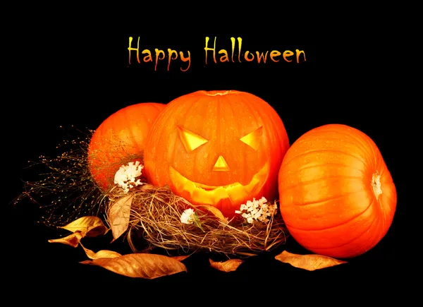 Happy Halloween — Stock Photo, Image