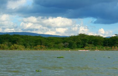 Excursion on the lake Naivasha clipart