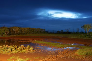 Africa. Night landscape. clipart