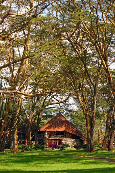 Toeristische resort in een bos van Afrika — Stockfoto