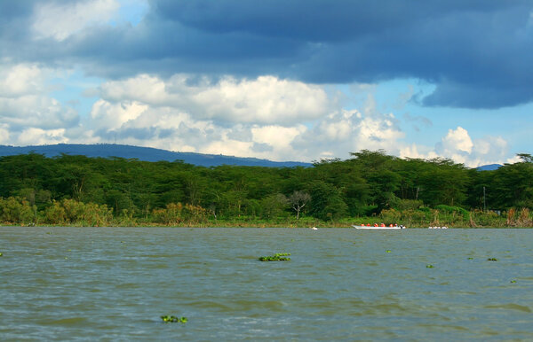 Excursion on the lake Naivasha