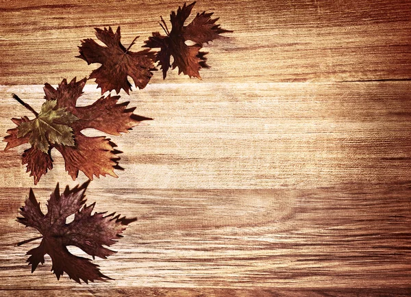 Őszi levelek határ — Stock Fotó