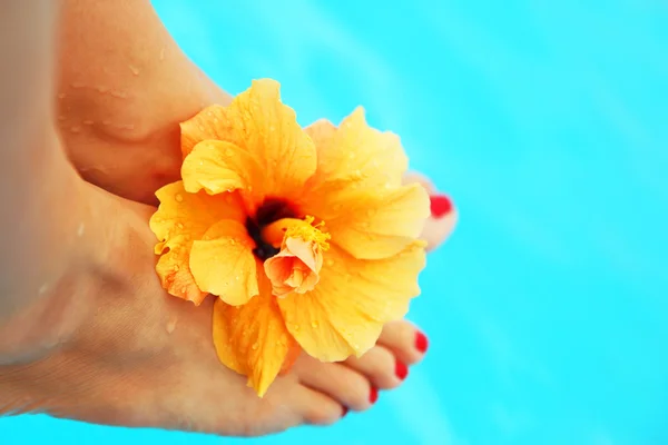Όμορφα γυναικεία πόδια στην πισίνα — Φωτογραφία Αρχείου