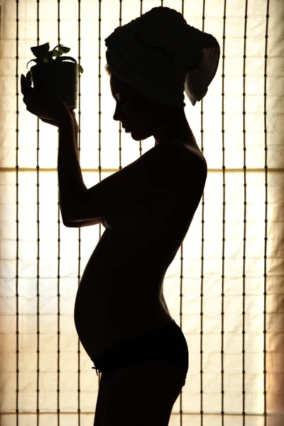 妊婦 — ストック写真