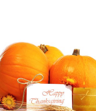 Thanksgiving holiday decorative border clipart