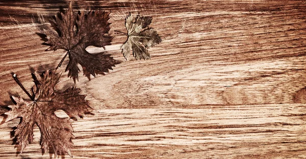 Höstlöv gränsen över trä bakgrund — Stockfoto