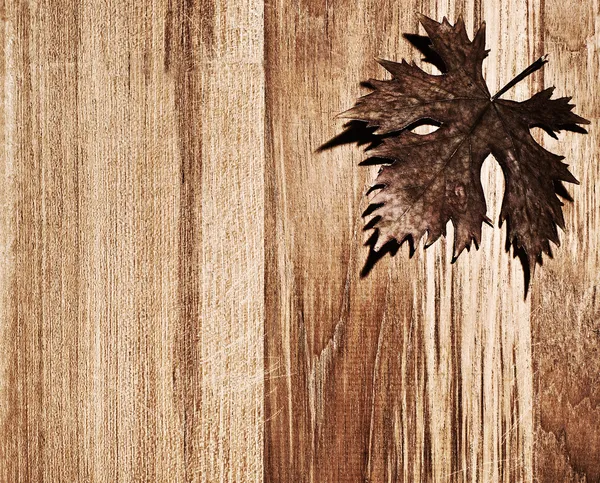 Folha de outono fronteira de madeira — Fotografia de Stock