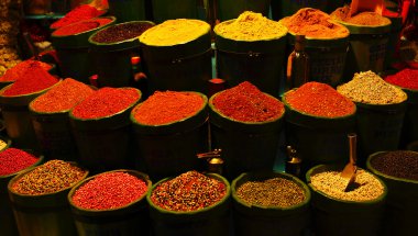 Diversity of spices clipart