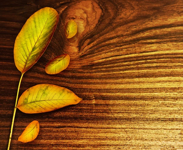Autumn leaves over old wood background — Stock Photo, Image