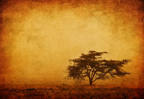 Osamělý strom v mlze — Stock fotografie