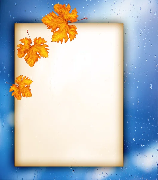 stock image Old paper with autumn leaves over wet window