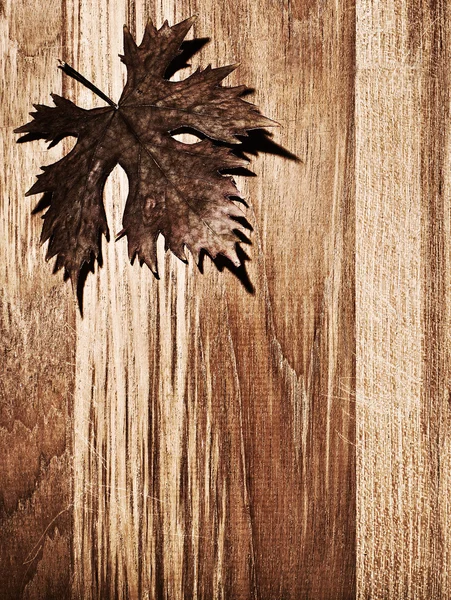 Autumn leaf wooden border — Stock Photo, Image