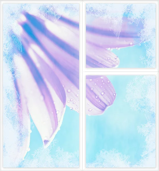 Winterfenster — Stockfoto